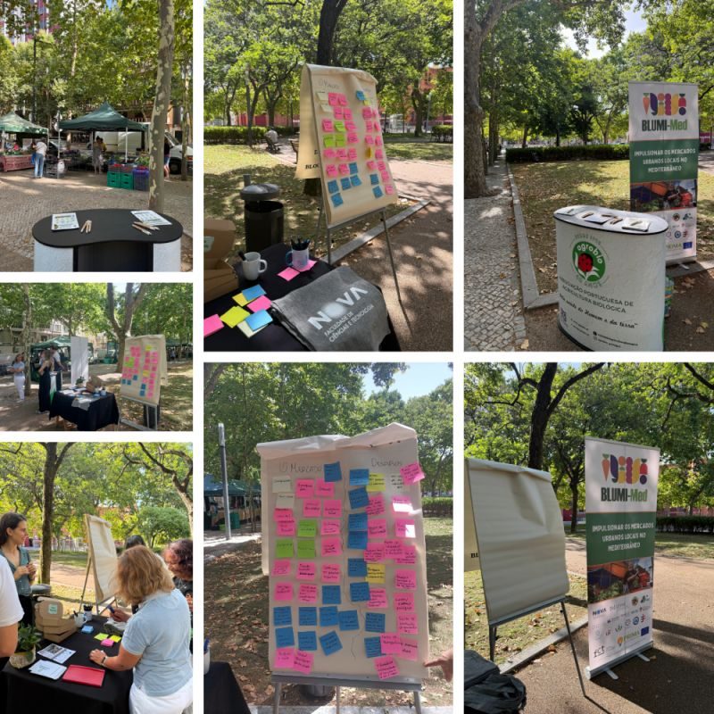 NOVA FCT and AGROBIO Hold Participatory Session at Campo Pequeno Market