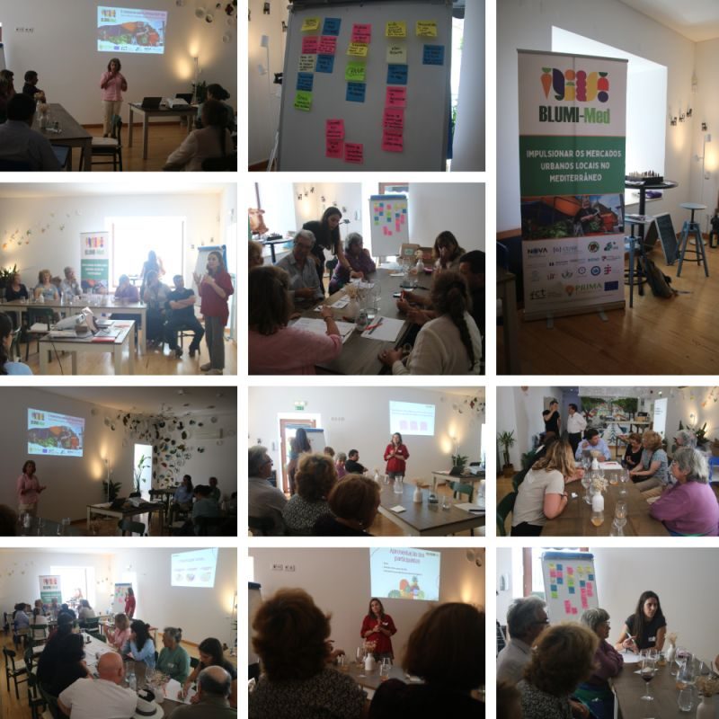 NOVA FCT Hosts Participatory Workshop on Praça da Fruta in Portugal
