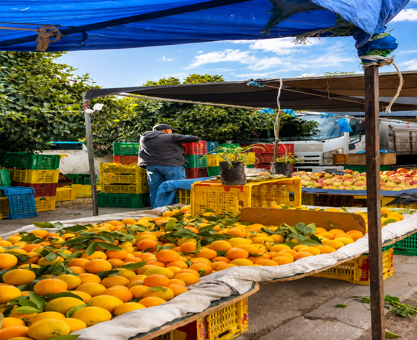 Ezzahra Market