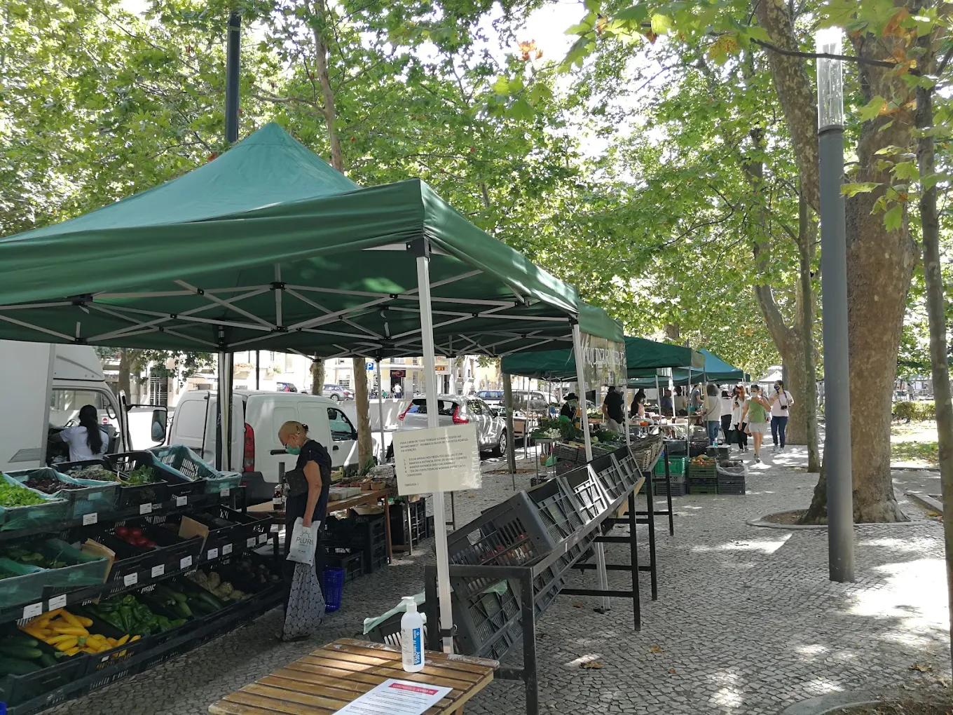 AGROBIO Markets