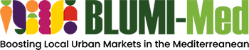 BLUMI LOGO